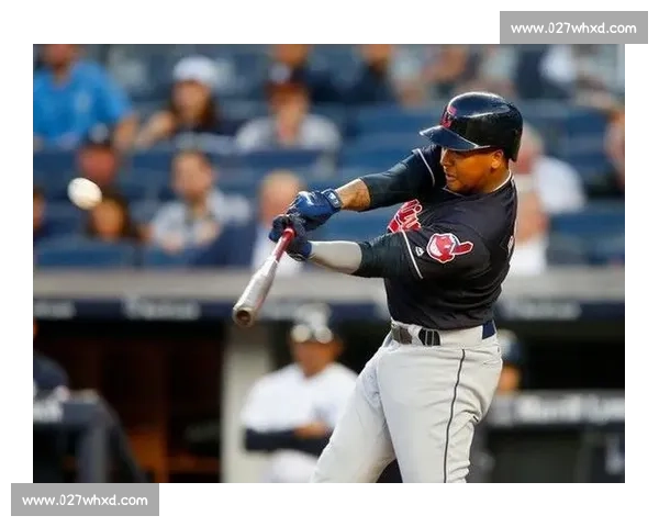 深度分析:本届棒球国家队阵容的优势与隐忧!